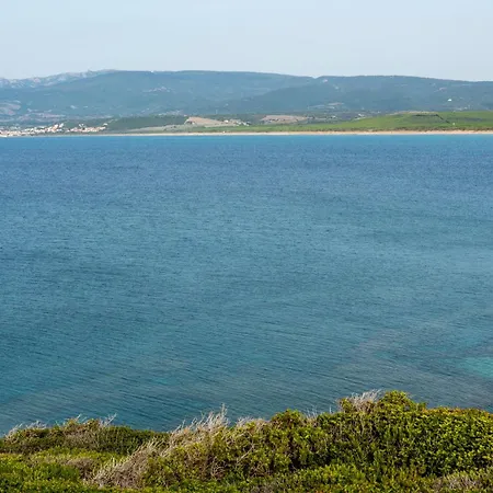 Maison De L Artiste Zangs Narbolia